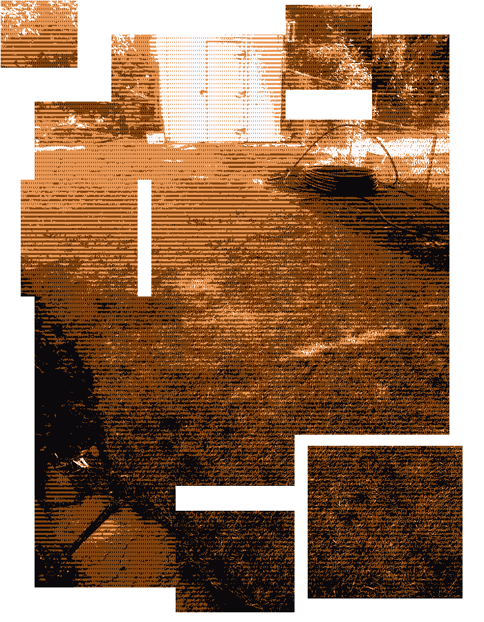 brown dithered screenshot of a backyard
